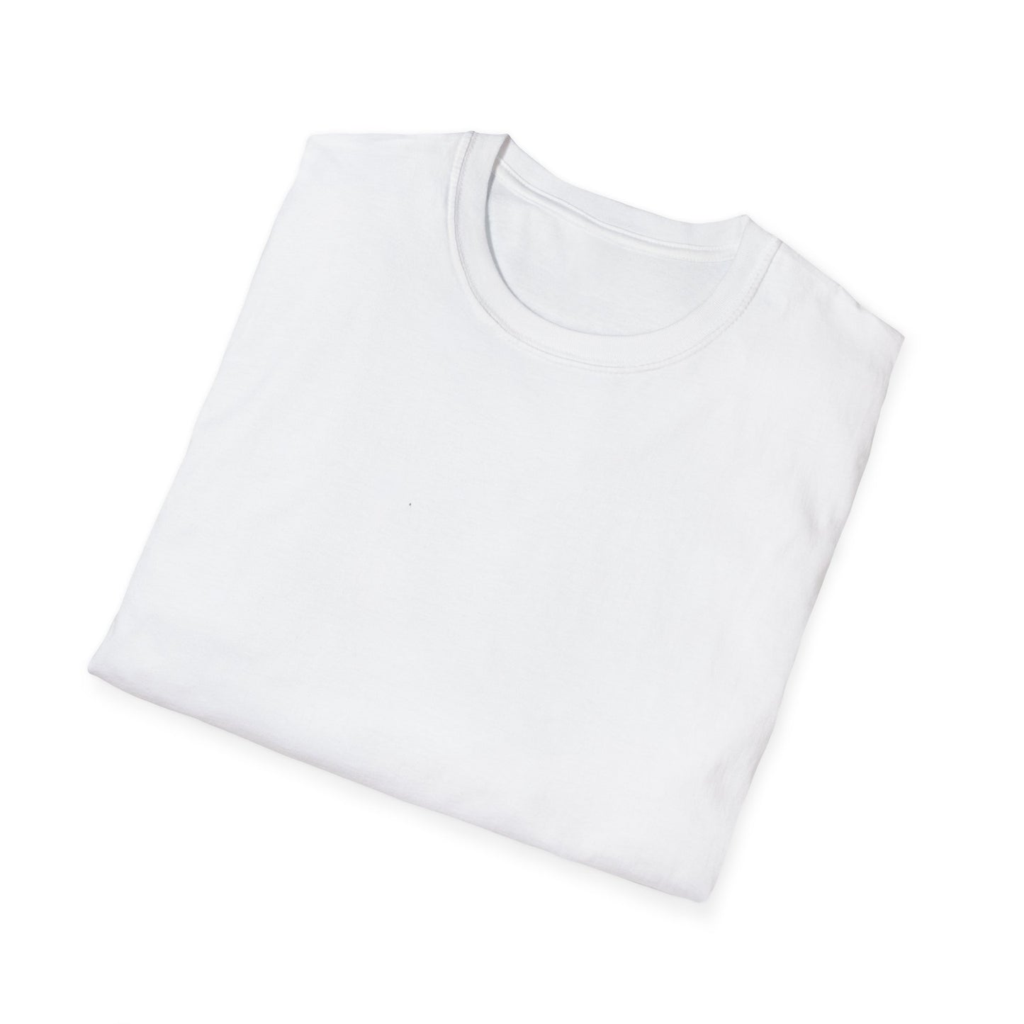 Financially Stable-ish T-Shirt