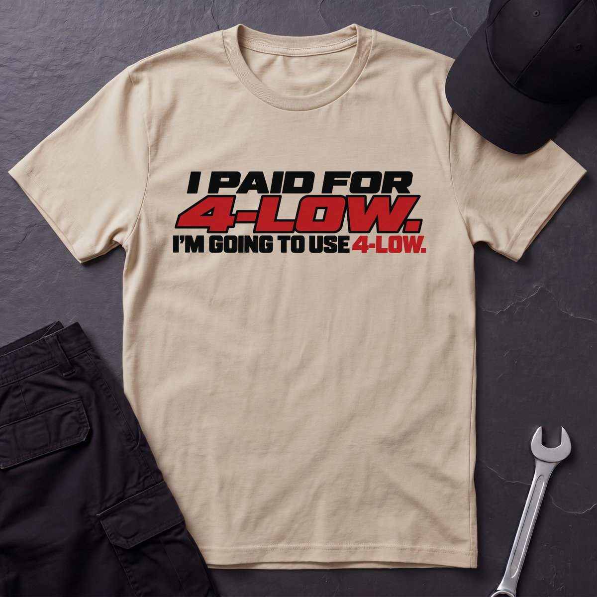 Paid For 4-Low  T-Shirt